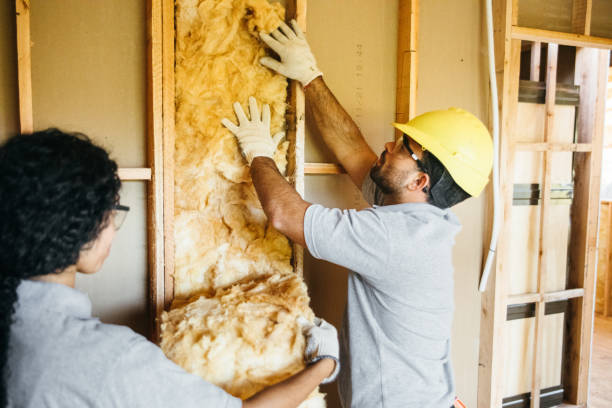 Best Commercial Insulation Services  in USA